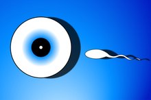 Signs of Re-Canalization From a Vasectomy