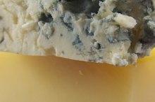 What Is the Function of Lactose?