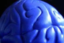 Signs & Symptoms of High Functioning Autism in Adults