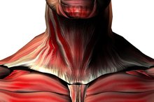 Abnormal Adam's Apple
