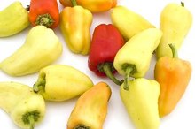 Foods Containing Capsaicin