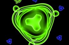 Definition of Bipolar Staining