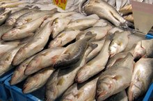What Are the Benefits of Fish Farming?