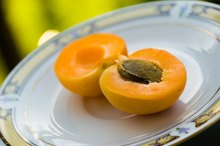 Which Foods Have Vitamin B17?