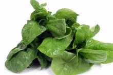 List of Fruits & Vegetables That Have Alpha Lipoic Acid