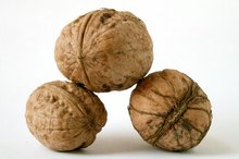 List of Nuts & Seeds You Should Buy Organically