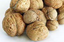 Are Walnuts Good Fiber?