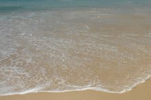 What Food Contains the Most Negative Ions?
