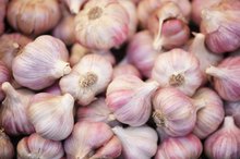 The Many Benefits of Garlic for Colon Cleansing