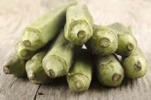 Nutrition of Freeze Dried Okra