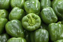 Food Menu for People with Gout
