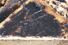 Vegemite Allergies