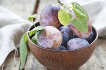 Plum Allergy