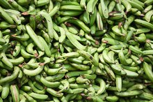 Do Green Plantains Raise Your Blood Sugar?