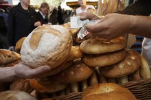 Carbohydrate Allergy