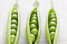 What Can You Eat on a Low-Oxalate, Low-Sodium, Low-Protein Diet?