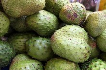 Dopamine Lowering Herbs