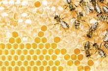 How to Make Bee Pollen Face Cream