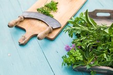 Which Herbs Reduce Uterine Fibroids?