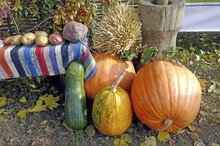What Vegetables and Fruits Are High in Starch?