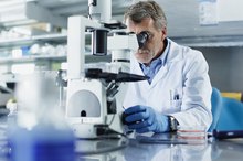 What Is Synthetic Protein?