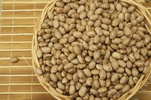 Allergy to Pinto Beans