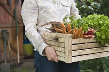 Which Vegetables Are Not Good for Uric Acid?