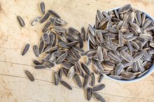 Sunflower Seeds & B-6 Toxicity