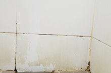 What Are the Effects of Breathing in Mold or Mildew?