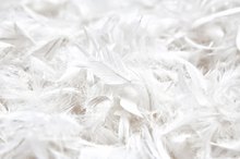 Down Pillow Allergy Symptoms