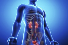 Vitamin E & Genital Warts