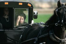 The Life of an Amish Teenager