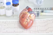 The 4 Parts of the Cardiovascular System