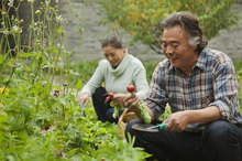 What Are the Dangers of Eating Raw Vegetables?