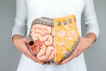 Will the Colon Grow New Villi?