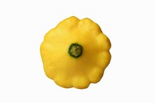 Pattypan Squash Nutrition Information