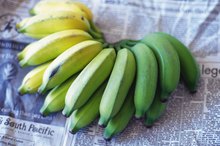 Tryptophan in Bananas & Insomnia