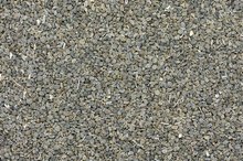 Sodium Content of Celery Seed