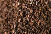 Is There Caffeine in Vegetables?