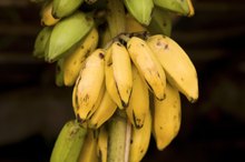 Potassium Deficiency and Dry Eyes