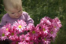 Will Taking Cranberry Tablets Help to Conceive Girl?