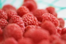 Glioblastoma Nutrition Diet