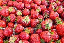 Foods to Heal Thrush
