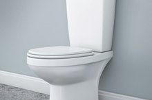 White Vinegar for Urinary Infections