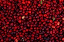 Cranberry Tablets for Bacterial Vaginosis & Yeast Infections