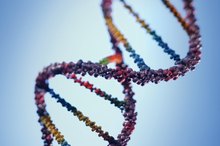 Fatal Genetic Diseases