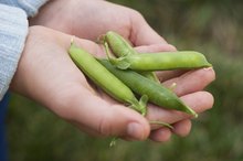 The Best Foods to Eat for GERD Patients