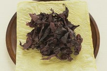 Seaweed Allergy
