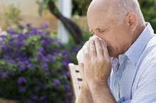 What Foods Should You Stay Away From If You Have Pollen Allergies?