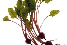 Is Beet Juice Good for Hormonal Balance?